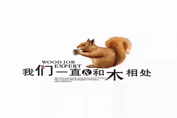 小雨木屋——項目案例欣賞