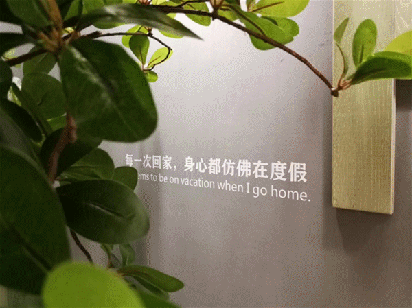大自然地板23年原木經(jīng)典系列，此刻光輝重現(xiàn)！