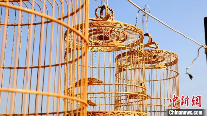 鳥籠藝人侯學(xué)文制作出的鳥籠。　巨野融媒中心供圖